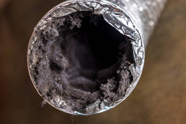 Best Home Air Vent Cleaning  in Middletown, VA